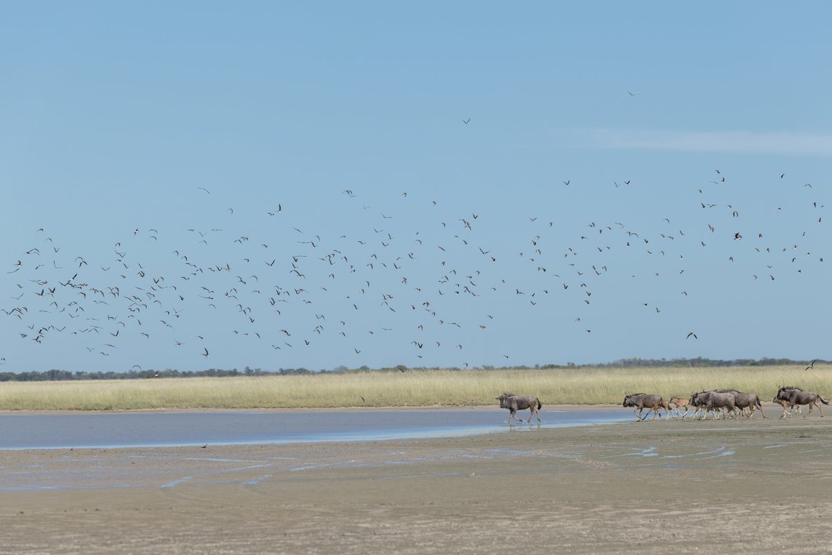 Botswana