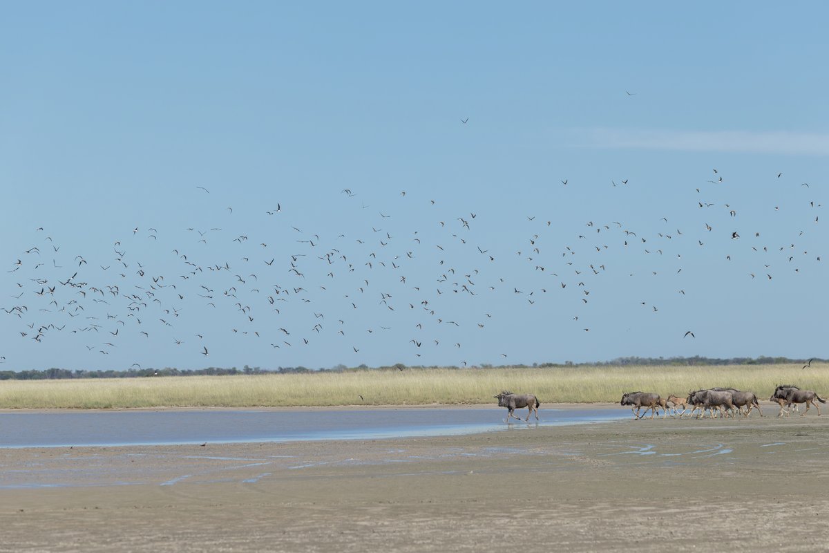 Botswana