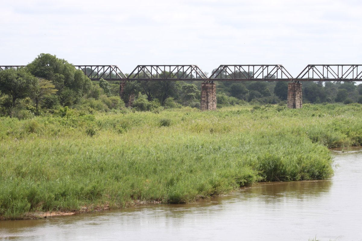 Kruger