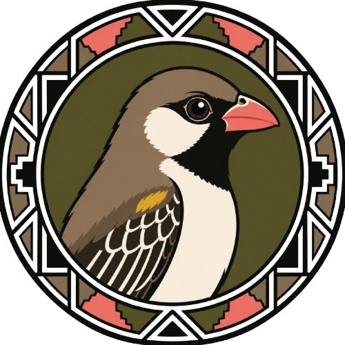 Honeyguide Birding