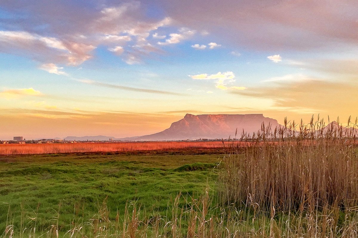 Western Cape